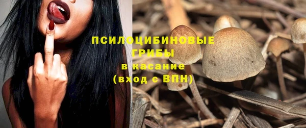 мдпв Богданович
